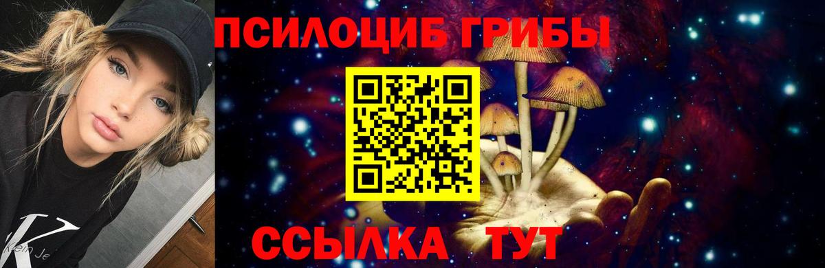 Псилоцибиновые грибы ЛСД Гусиноозёрск