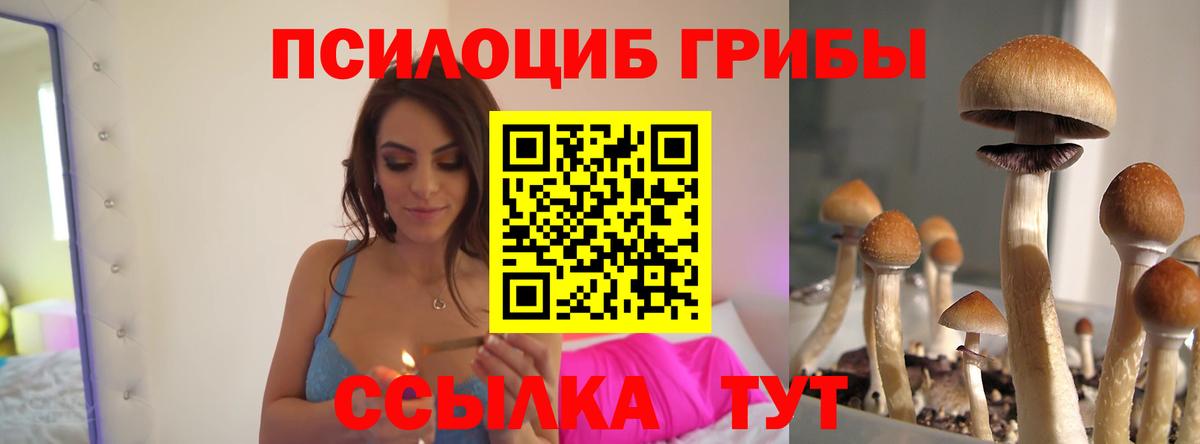 Псилоцибиновые грибы прущие грибы  Вход с VPN  Гусиноозёрск 